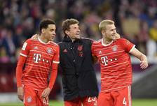 伦敦奥运马术冠军与爱马同日安乐死：二十载相伴书写辉煌传奇