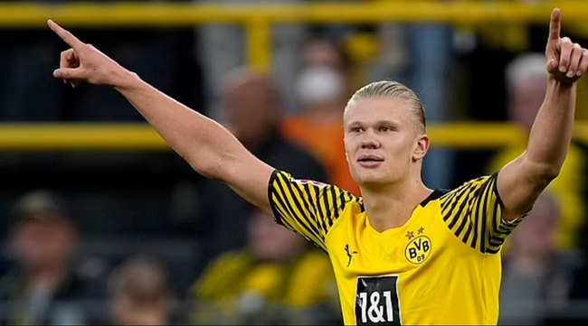 女性博彩数据分析师比例升至52%